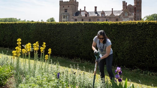 A female gardener pushes a spade into a flower bed containing yellow and purple blooms with Oxburgh Hall in the background
